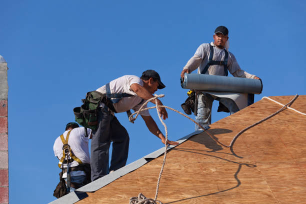 Best Storm Damage Roof Repair  in Jeffersonville, KY